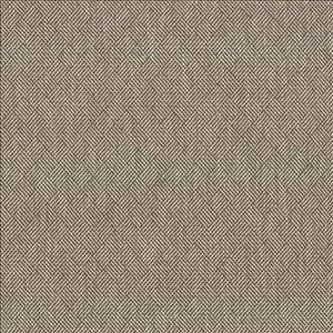 Kasmir Fabric Dream Weaver Zinc