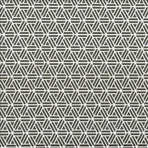 Kasmir Fabric Drive Time Graphite