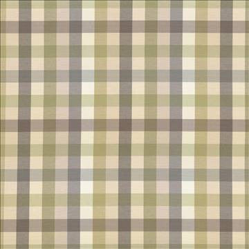 Dupuy Check Grey Garden by Kasmir Designer Fabric 5078 53% Cotton 47% Polyester TAIWAN 12,000 Wyzenbeek Double Rubs H: 13 4/8 inches, V: 13 4/8 inches 55 - Swanky Fabrics - Kasmir