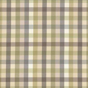 Kasmir Fabric Dupuy Check Grey Garden