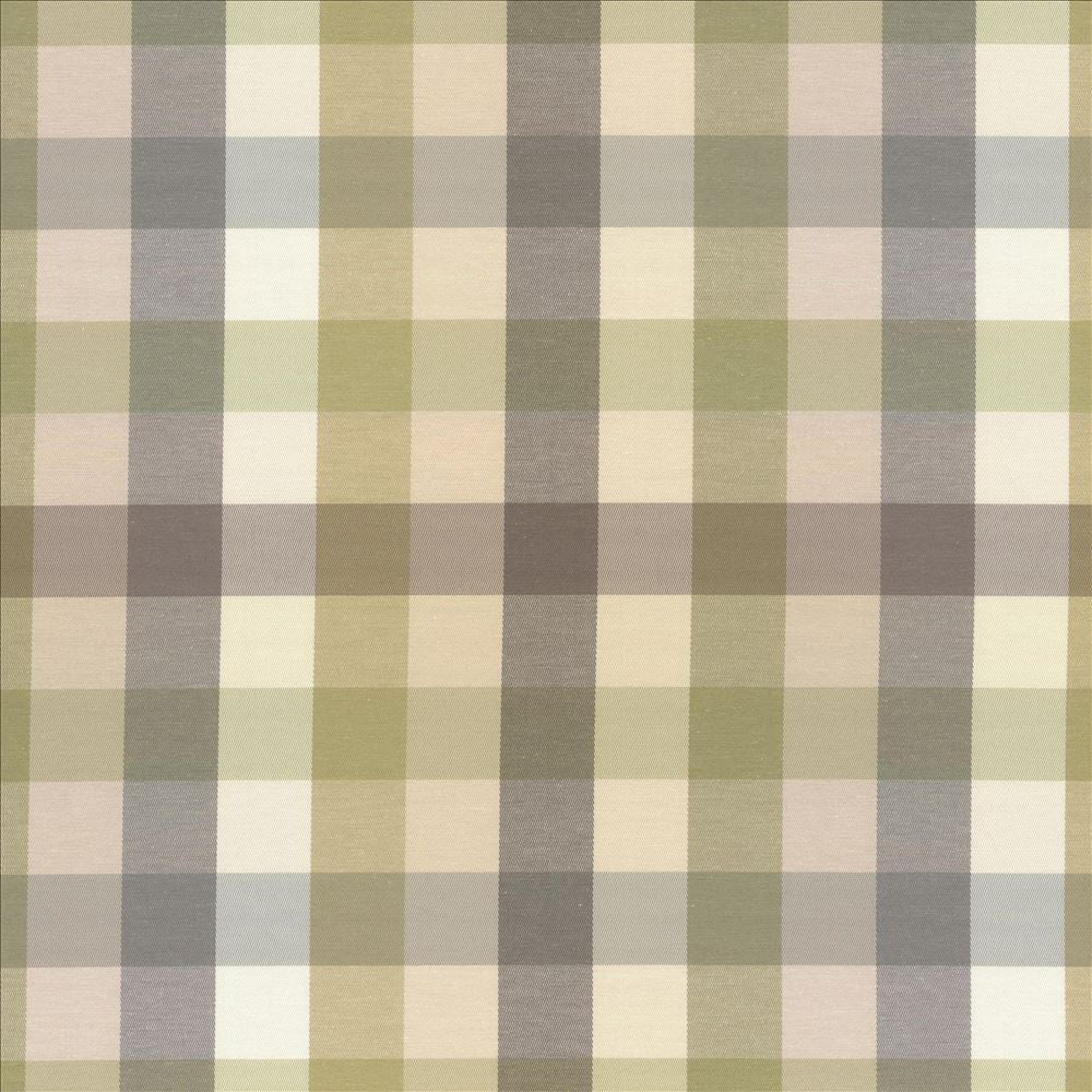 Dupuy Check Grey Garden by Kasmir Designer Fabric See sample 53% Cotton
47% Polyester
 TAIWAN 12,000 Wyzenbeek Double Rubs </p><p>Repeat: Horizontal: 13 4/8 inches and Vertical: 13 4/8 inches 55 - Swanky Fabrics -