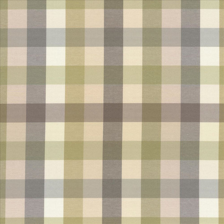Dupuy Check Grey Garden by Kasmir Designer Fabric See sample 53% Cotton
47% Polyester
 TAIWAN 12,000 Wyzenbeek Double Rubs </p><p>Repeat: Horizontal: 13 4/8 inches and Vertical: 13 4/8 inches 55 - Swanky Fabrics -