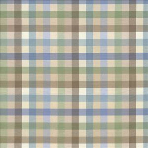 Kasmir Fabric Dupuy Check Mineral