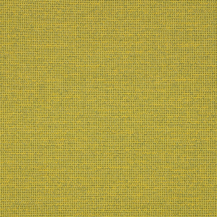 87005-0006 Rally Leaf by Sunbrella Designer Fabric Sunbrella Transcend SunbrellaÂ® Acrylic, SunbrellaÂ® Polyester USA or Imported 5-Year Horizontal: and Vertical: 55 yd. 54 in. - Swanky Fabrics -