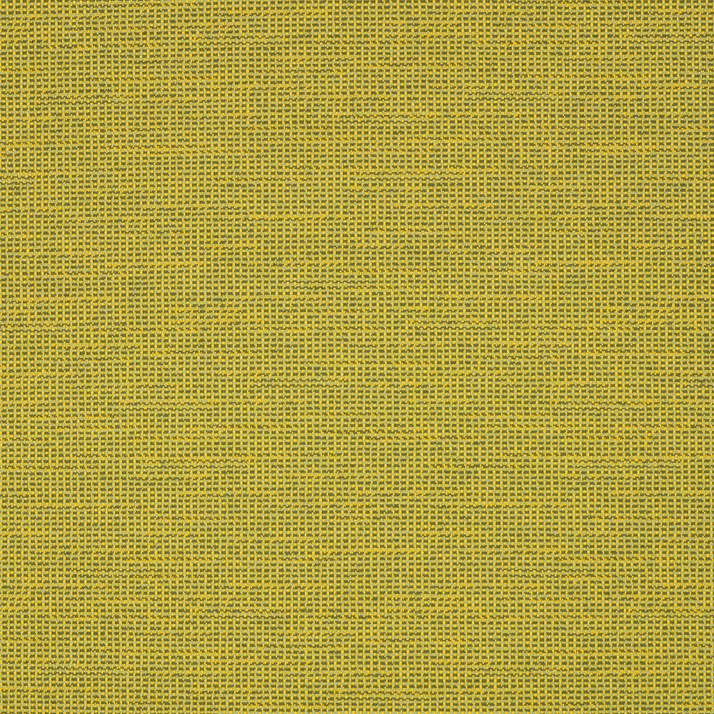 87005-0006 Rally Leaf by Sunbrella Designer Fabric Sunbrella Transcend Sunbrella® Acrylic, Sunbrella® Polyester USA or Imported 5-Year Horizontal: and Vertical: 55 yd. 54 in. - Swanky Fabrics -