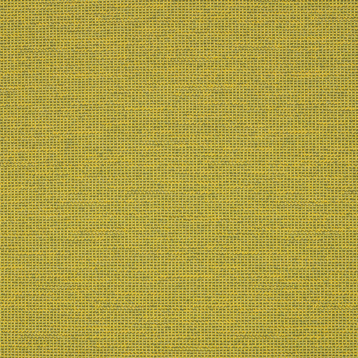 87005-0006 Rally Leaf by Sunbrella Designer Fabric Sunbrella Transcend Sunbrella® Acrylic, Sunbrella® Polyester USA or Imported 5-Year Horizontal: and Vertical: 55 yd. 54 in. - Swanky Fabrics -