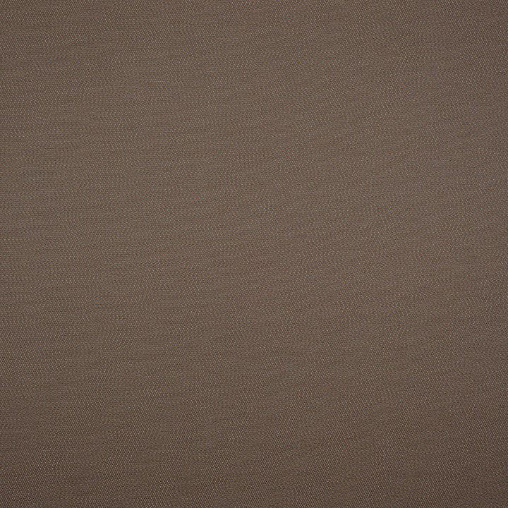 Lopi Coconut R014 by Sunbrella European Designer Fabric Sunbrella® Acrylic, Sunbrella® Polyester Horizontal: and Vertical: 55 in. - Swanky Fabrics -