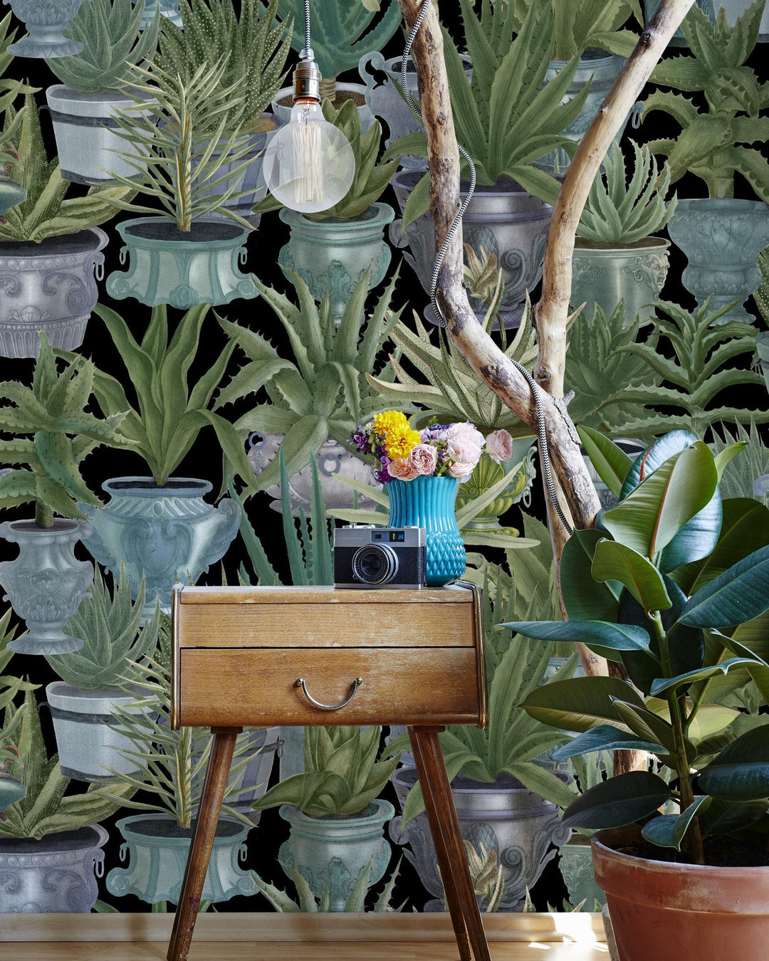 Echeveria wallpaper by Mind the Gap (WP20163), view 2