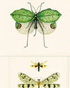 Mind the Gap Wallpaper Mind The Gap   ENTOMOLOGY Green   (WP20234)