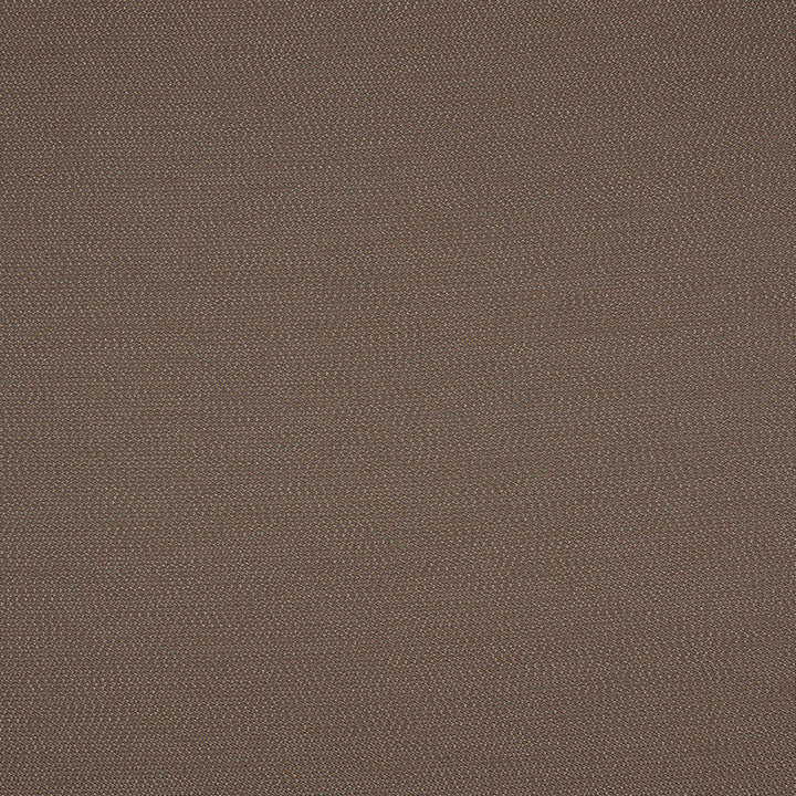 LOP R014 140 Lopi Coconut by Sunbrella Designer Fabric Sunbrella European Sunbrella® Acrylic, Sunbrella® Polyester USA or Imported 5-Year Horizontal: and Vertical: 55 in. - Swanky Fabrics -