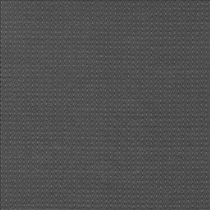 Kasmir Fabric Ecco Chic Onyx