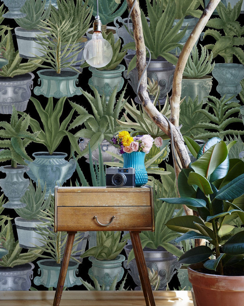 Echeveria by Mind the Gap Designer Wallpaper PREMIUM DESIGNER WALLPAPER COLLECTION Non-woven Made in Europe Paste the wall 3 rolls x 20.5 x 3.25 yards - Swanky Fabrics -