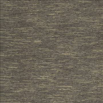 Ember Afterglow by Kasmir Designer Fabric 5118 100% Polyester USA 15,000 Wyzenbeek Double Rubs H: N/A, V: N/A 56 - Swanky Fabrics - Kasmir