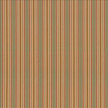 Englewood Stripe Garden by Kasmir Designer Fabric 1442 100% Cotton TURKEY 12,000 Wyzenbeek Double Rubs H: 3 1/8 inches, V: N/A 56 - 57 - Swanky Fabrics - Kasmir