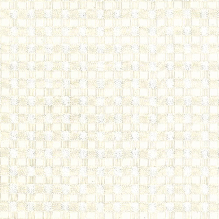 Enmeshed Ivory  by Kasmir Designer Fabric 1444 100% Polyester
 GERMANY  Horizontal: 7/8 inches and Vertical: 7/8 inches 117  - Swanky Fabrics -