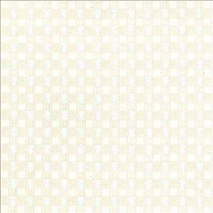 Kasmir Fabric Enmeshed Ivory