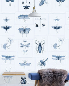Mind the Gap Wallpaper Mind The Gap   ENTOMOLOGY Blue   (WP20235)