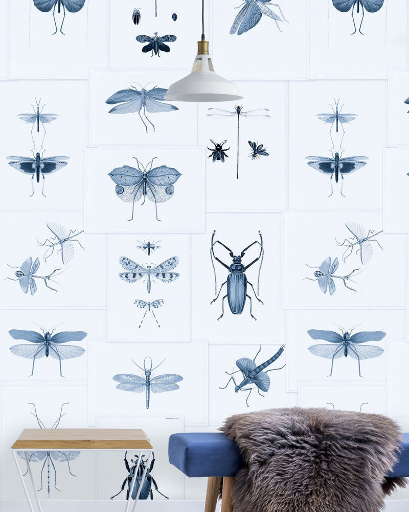 Entomology Blue Wallpaper by Mind the Gap Designer Wallpaper PREMIUM DESIGNER WALLPAPER COLLECTION Non-woven Made in Europe Paste the wall 3 rolls x 20.5 x 3.25 yards - Swanky Fabrics -