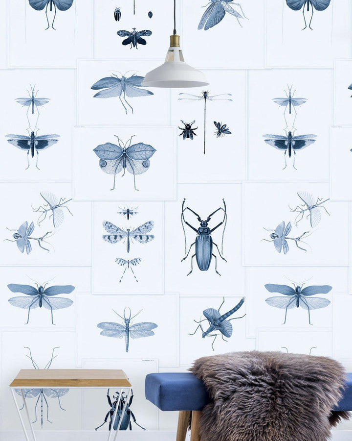 Entomology Blue Wallpaper by Mind the Gap Designer Wallpaper PREMIUM DESIGNER WALLPAPER COLLECTION Non-woven Made in Europe Paste the wall 3 rolls x 20.5 x 3.25 yards - Swanky Fabrics -