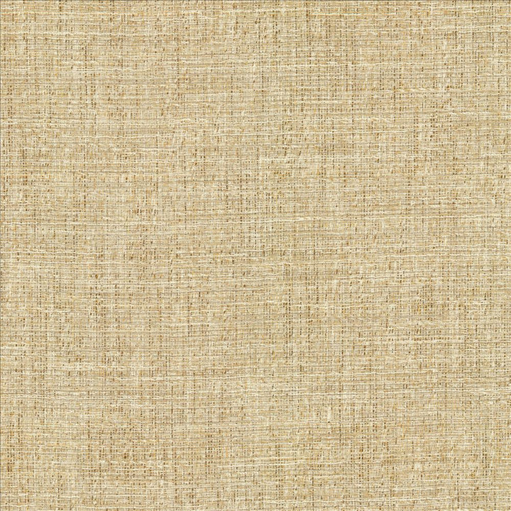 Evangeline Sisal  by Kasmir Designer Fabric 1461 72% Polyester
19% Cotton
9% Rayon
 INDIA 30,000 Wyzenbeek Double Rubs Horizontal: N/A and Vertical: N/A 56  - Swanky Fabrics -