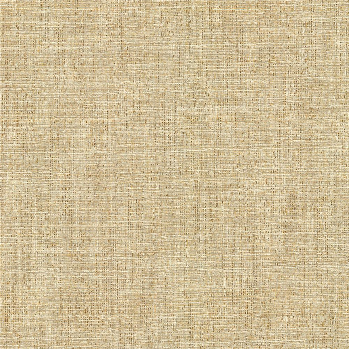 Evangeline Sisal by Kasmir Designer Fabric 1461 72% Polyester
19% Cotton
9% Rayon
 INDIA 30,000 Wyzenbeek Double Rubs </p><p>Repeat: Horizontal: N/A and Vertical: N/A 56 - Swanky Fabrics -