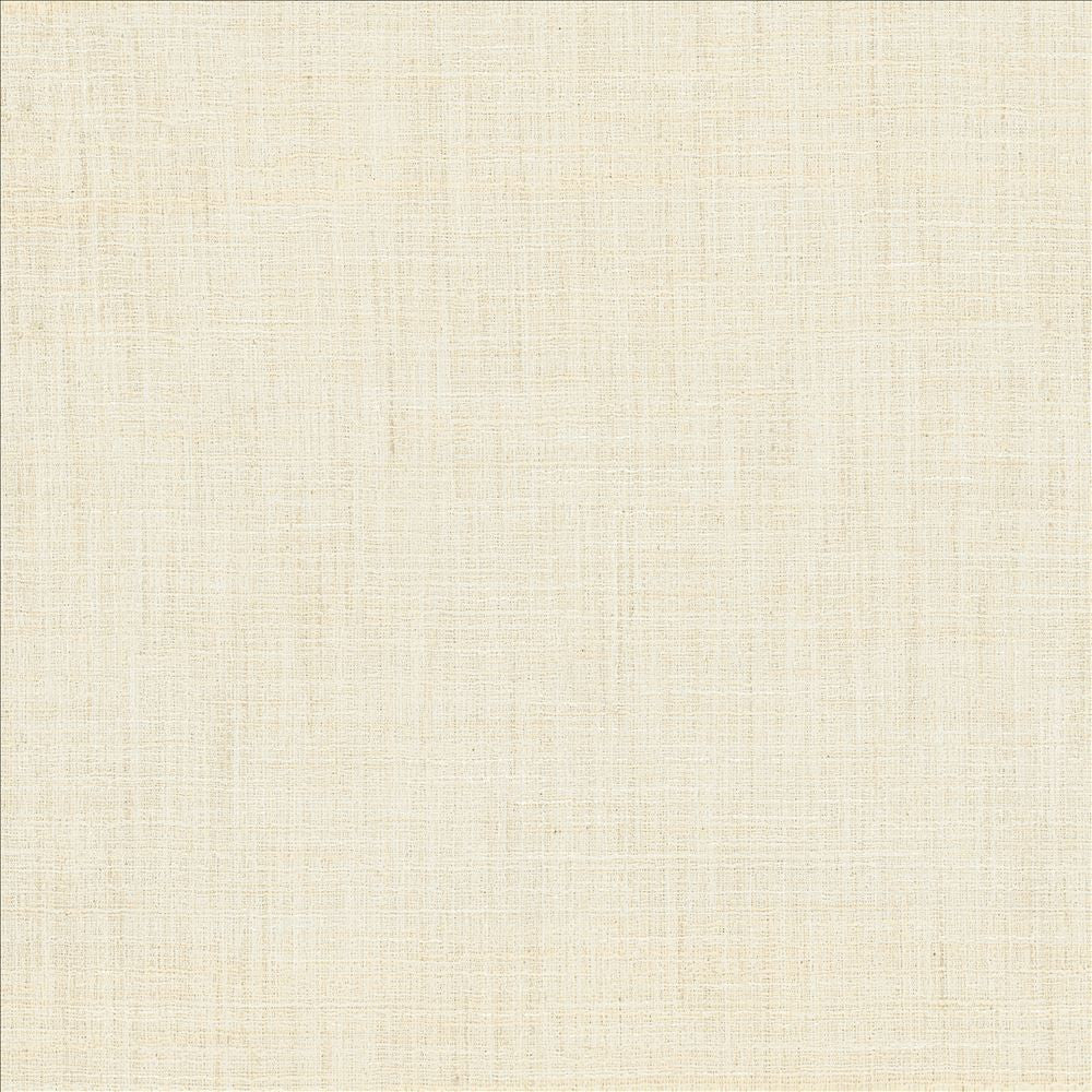 Evangeline Starlight  by Kasmir Designer Fabric 1461 72% Polyester
19% Cotton
9% Rayon
 INDIA 30,000 Wyzenbeek Double Rubs Horizontal: N/A and Vertical: N/A 56  - Swanky Fabrics -