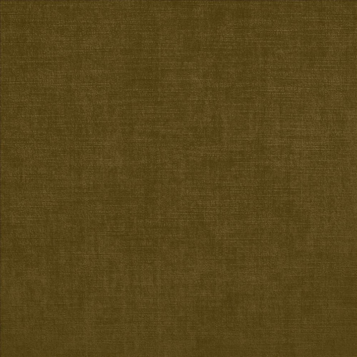 Evermore Bark by Kasmir Designer Fabric 5179 100% Polyester
 INDIA </p><p>Repeat: Horizontal: N/A and Vertical: N/A 54 - Swanky Fabrics -