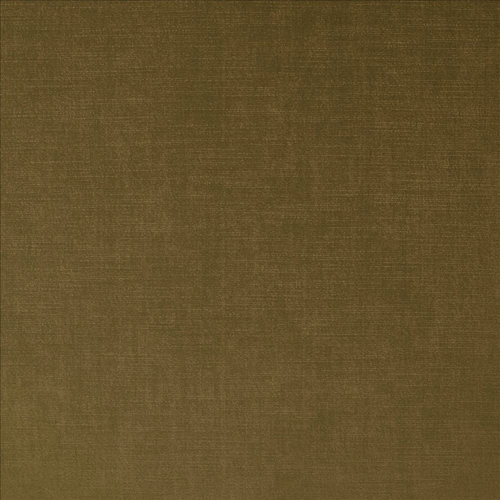 Evermore Bark by Kasmir Designer Fabric 5179 100% Polyester
 INDIA 60,000 Wyzenbeek Double Rubs </p><p>Repeat: Horizontal: N/A and Vertical: N/A 54 - Swanky Fabrics -
