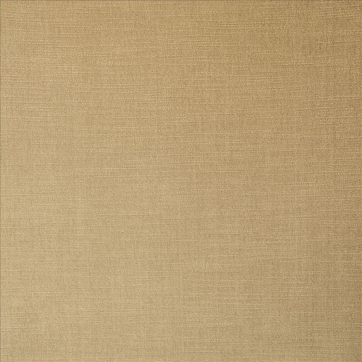 Evermore Barley by Kasmir Designer Fabric 5179 100% Polyester
 INDIA 60,000 Wyzenbeek Double Rubs </p><p>Repeat: Horizontal: N/A and Vertical: N/A 54 - Swanky Fabrics -
