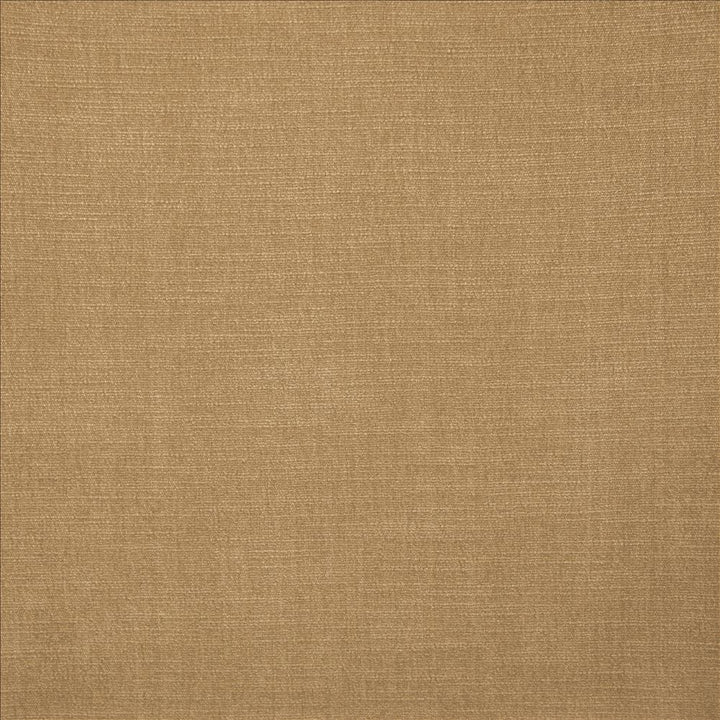 Evermore Beige by Kasmir Designer Fabric 5179 100% Polyester
 INDIA </p><p>Repeat: Horizontal: N/A and Vertical: N/A 54 - Swanky Fabrics -
