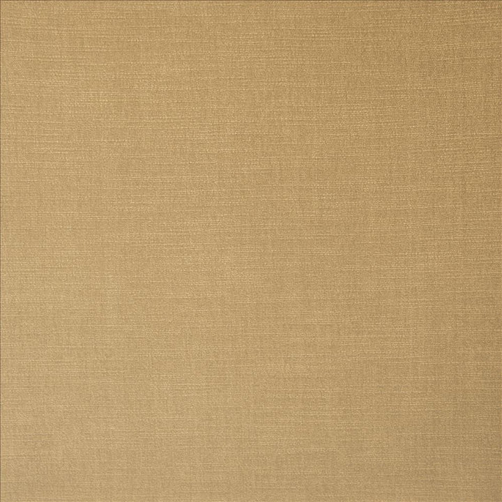 Evermore Beige by Kasmir Designer Fabric 5179 100% Polyester
 INDIA 60,000 Wyzenbeek Double Rubs </p><p>Repeat: Horizontal: N/A and Vertical: N/A 54 - Swanky Fabrics -