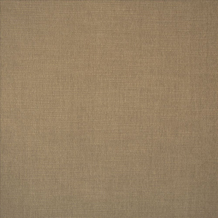 Evermore Khaki by Kasmir Designer Fabric 5179 100% Polyester
 INDIA 60,000 Wyzenbeek Double Rubs </p><p>Repeat: Horizontal: N/A and Vertical: N/A 54 - Swanky Fabrics -