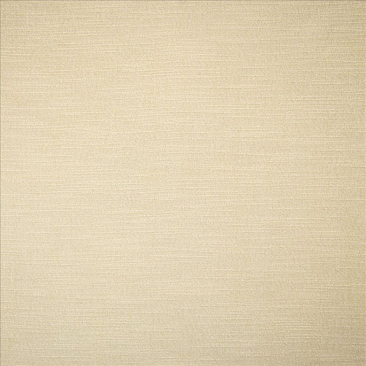 Evermore Moon by Kasmir Designer Fabric 5179 100% Polyester
 INDIA 60,000 Wyzenbeek Double Rubs </p><p>Repeat: Horizontal: N/A and Vertical: N/A 54 - Swanky Fabrics -