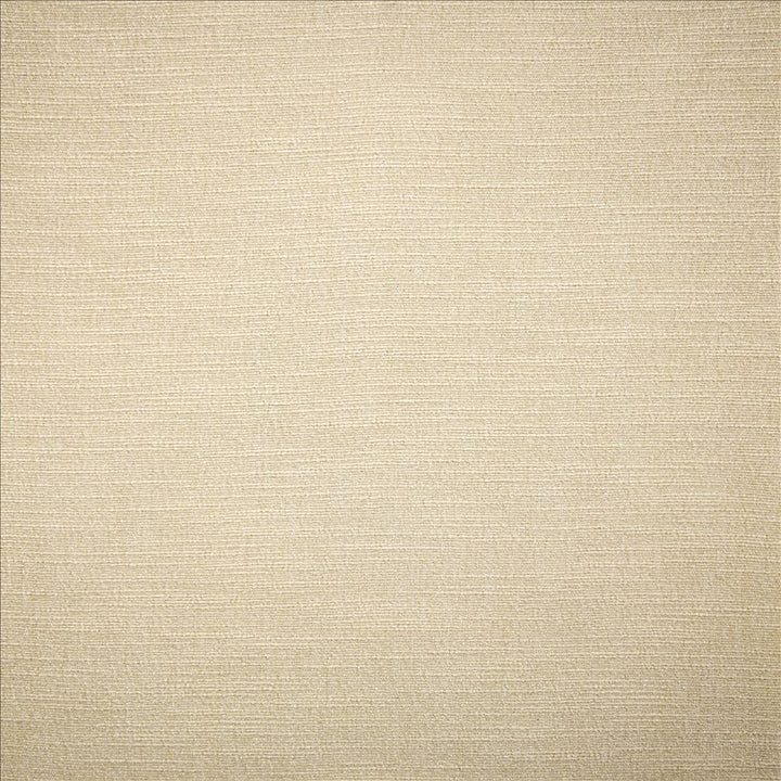 Evermore Moon by Kasmir Designer Fabric 5179 100% Polyester
 INDIA </p><p>Repeat: Horizontal: N/A and Vertical: N/A 54 - Swanky Fabrics -
