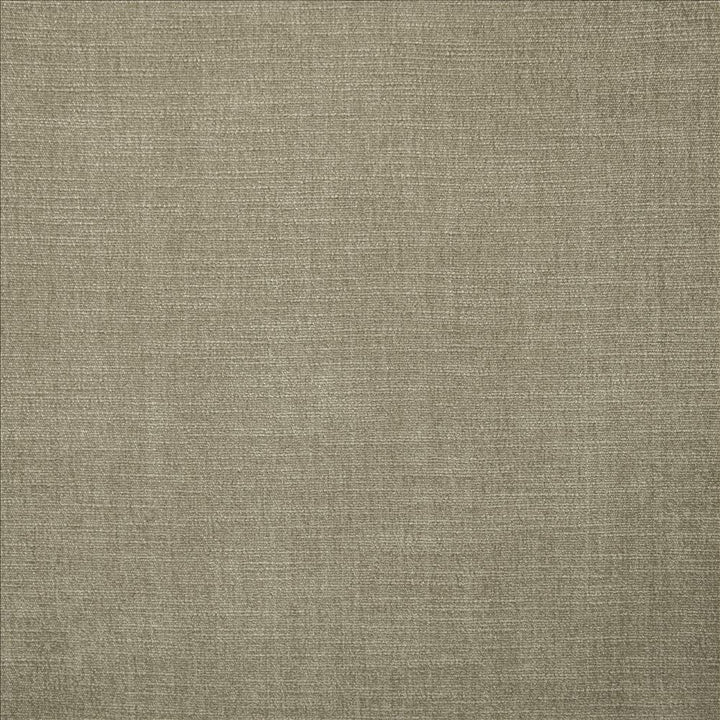Evermore Silver by Kasmir Designer Fabric 5179 100% Polyester
 INDIA </p><p>Repeat: Horizontal: N/A and Vertical: N/A 54 - Swanky Fabrics -
