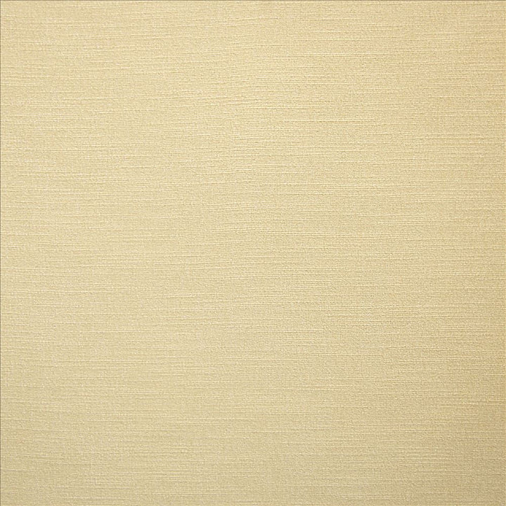 Evermore Vanilla by Kasmir Designer Fabric 5179 100% Polyester
 INDIA 60,000 Wyzenbeek Double Rubs </p><p>Repeat: Horizontal: N/A and Vertical: N/A 54 - Swanky Fabrics -