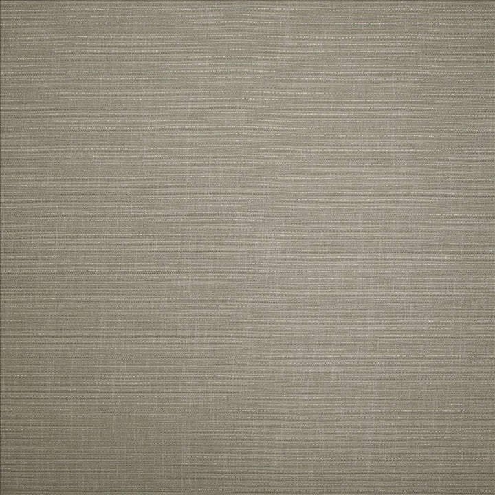 Evie Silver by Kasmir Designer Fabric 5157 100% Polyester
 TURKEY </p><p>Repeat: Horizontal: N/A and Vertical: N/A 58 - Swanky Fabrics -