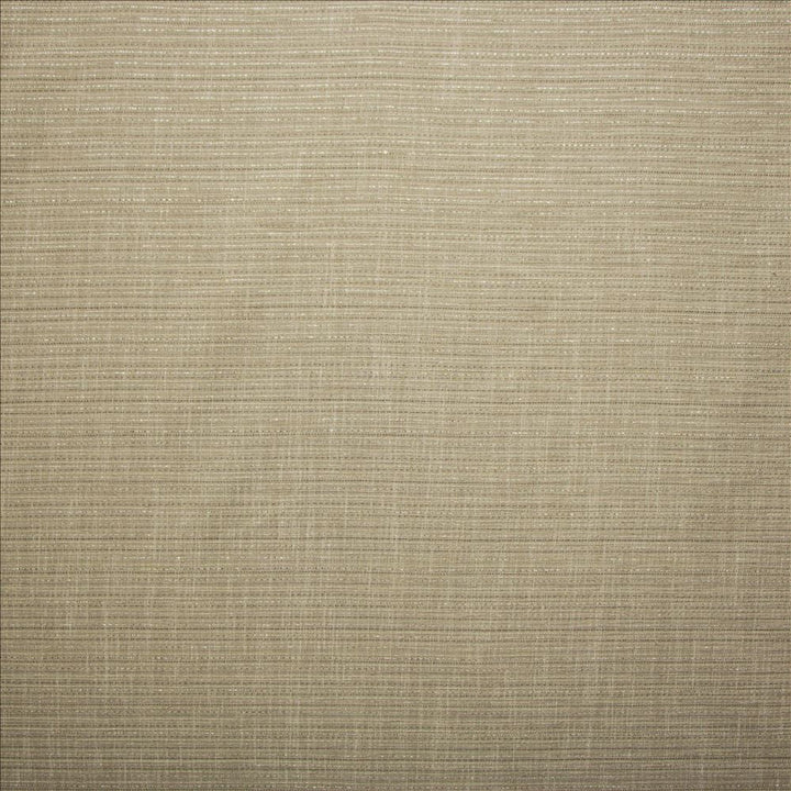 Evie Stone by Kasmir Designer Fabric 5157 100% Polyester
 TURKEY Not Tested </p><p>Repeat: Horizontal: N/A and Vertical: N/A 58 - Swanky Fabrics -