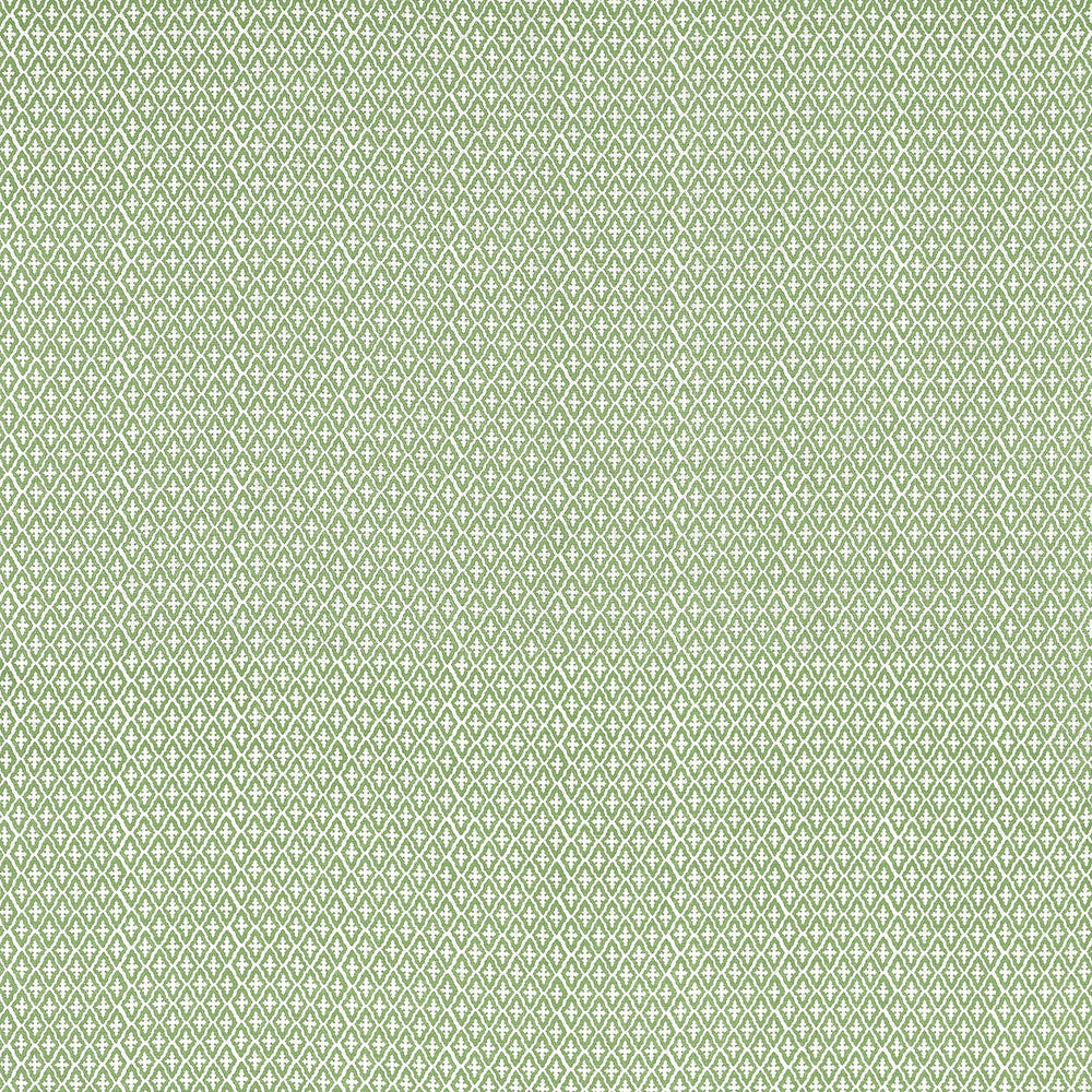 Lindsey Green AF57814 by Anna French Fabric Anna French Fabric Lindsey Green AF57814Fabric Bristol </p><p>Repeat: V: 5.75" (14.61 cm) 54.00" (137.16 cm) - Fabric Carolina -