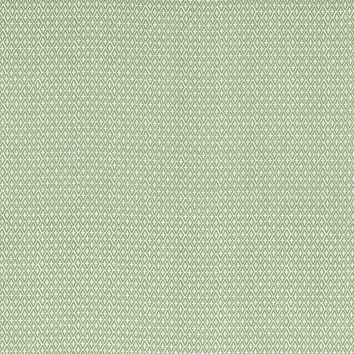 Lindsey Green AF57814 by Anna French Fabric Anna French Fabric Lindsey Green AF57814Fabric Bristol </p><p>Repeat: V: 5.75" (14.61 cm) 54.00" (137.16 cm) - Fabric Carolina -