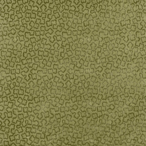 Anna French Fabric Trefolia Velvet Ivy AW9251