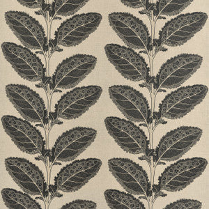 Thibaut Fabric Lacinato Basalt Black F912038