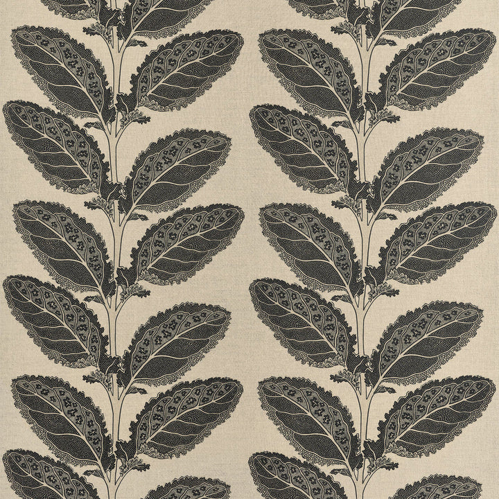Lacinato Basalt Black F912038 by Thibaut Fabric Thibaut Fabric Lacinato Basalt Black F912038Fabric Vista </p><p>Repeat: V: 19.50" (49.53 cm) 54.00" (137.16 cm) - Fabric Carolina -