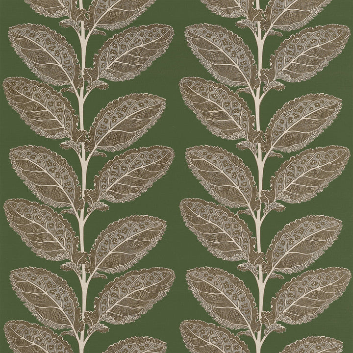 Lacinato Wild Sage F912040 by Thibaut Fabric Thibaut Fabric Lacinato Wild Sage F912040Fabric Vista </p><p>Repeat: V: 19.50" (49.53 cm) 54.00" (137.16 cm) - Fabric Carolina -
