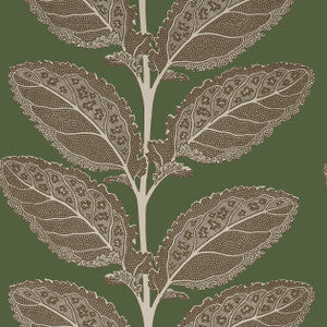 Thibaut Wallpaper Lacinato Wild Sage T12040