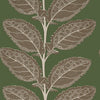 Thibaut Wallpaper Lacinato Wild Sage T12040