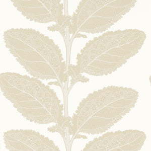 Thibaut Wallpaper Lacinato Birch T12041