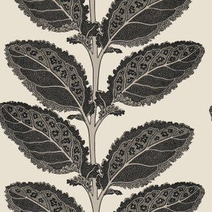 Thibaut Wallpaper Lacinato Basalt Black T12038