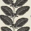 Thibaut Wallpaper Lacinato Basalt Black T12038