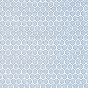 Thibaut Fabric Genie Powder W81926